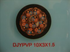 計算機(jī)電纜DJYPVP-10*3*1.5