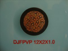 計算機(jī)電纜DJFPVP-12*2*1.0