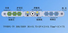 扁平絞合型排列帶屏蔽、鋼芯和視頻線電梯電纜