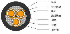 3*2.5，3*3，3*4，3*6，3*10，3*16，3*25屏蔽電纜結(jié)構(gòu)圖