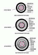 機(jī)車數(shù)字信號線鐵路數(shù)字信號電纜