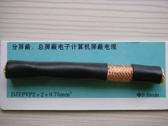 DJYPVP 2*2*0.75 分屏蔽、總屏蔽電子計(jì)算機(jī)屏蔽電纜