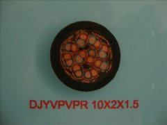 DJYVPVPR 0.3/0.5KV 10*2*1.5 計(jì)算機(jī)屏蔽電纜