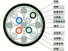 DJYJVP5  12*2*1.0計(jì)算機(jī)屏蔽電纜